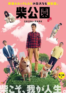 性感av在线
