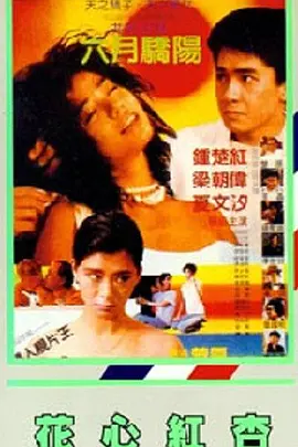 国产精品黄大片在线播放