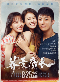 亚洲欧洲另类精品久久综合